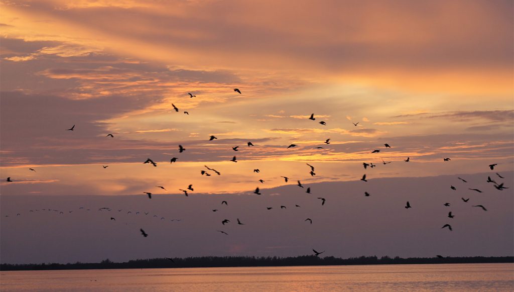 Sunset on a private yacht charter from Fort Myers in October of 2017